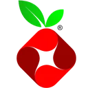 Pi-hole logo